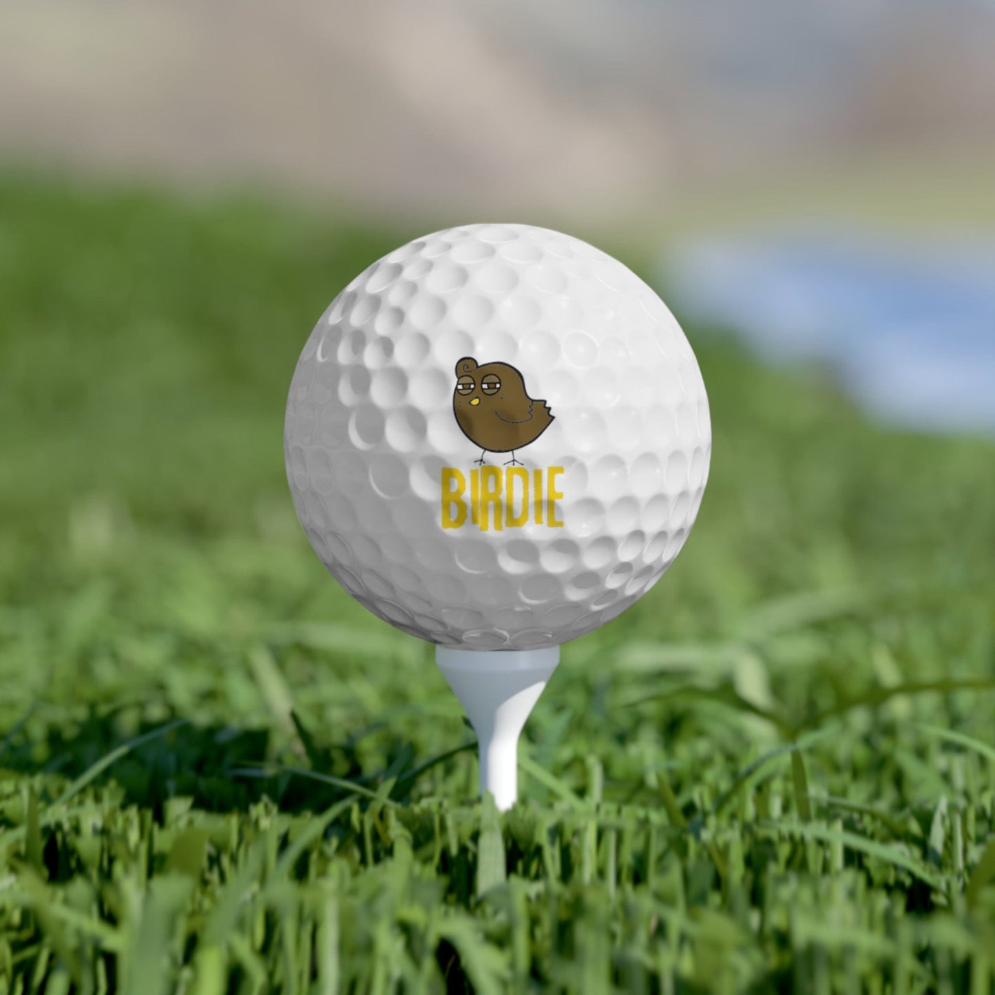 Funny Golfer Gifts  Accessories 1.7" / 6 pcs Birdie Funny Golf Balls, 6 Piece Set